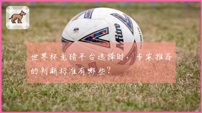 世界杯竞猜平台选择时，专家推荐的判断标准有哪些？