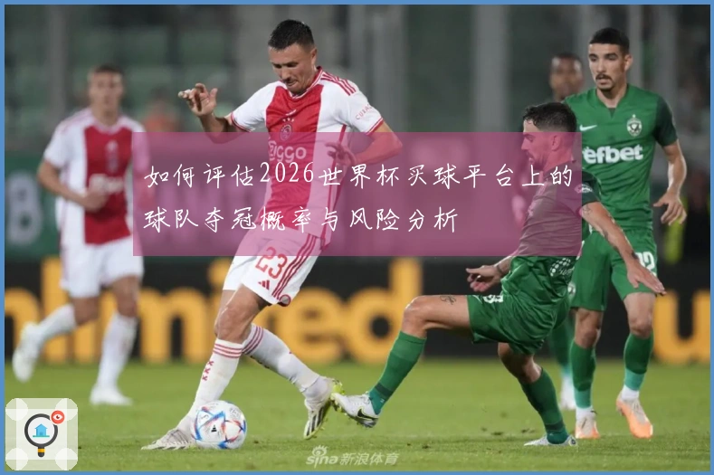 如何评估2026世界杯买球平台上的球队夺冠概率与风险分析