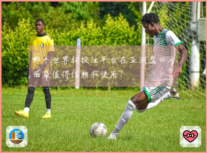 哪个世界杯投注平台在亚洲盘口方面最值得信赖和使用？