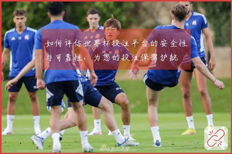 如何评估世界杯投注平台的安全性与可靠性，为您的投注保驾护航