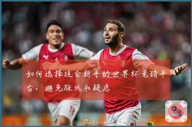 如何选择适合新手的世界杯竞猜平台，避免踩坑和疑虑