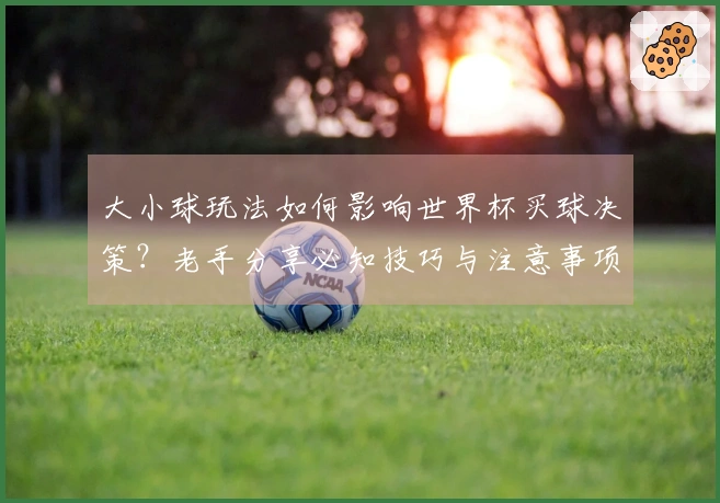 大小球玩法如何影响世界杯买球决策？老手分享必知技巧与注意事项
