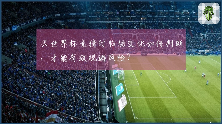 买世界杯竞猜时临场变化如何判断，才能有效规避风险？
