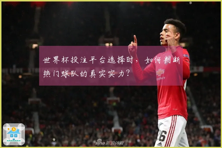 世界杯投注平台选择时，如何判断热门球队的真实实力？